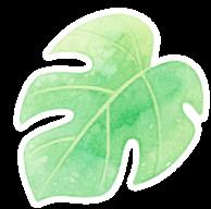 DƬ